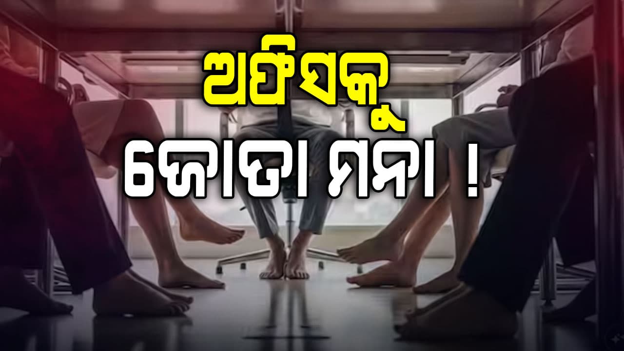 ଅଫିସରେ ଜୋତା ପିନ୍ଧିବା ମନା ! ଷ୍ଟାର୍ଟଅପ୍ ଅଫିସ୍ ହେଉଛି ଦ୍ୱିତୀୟ ଘର…