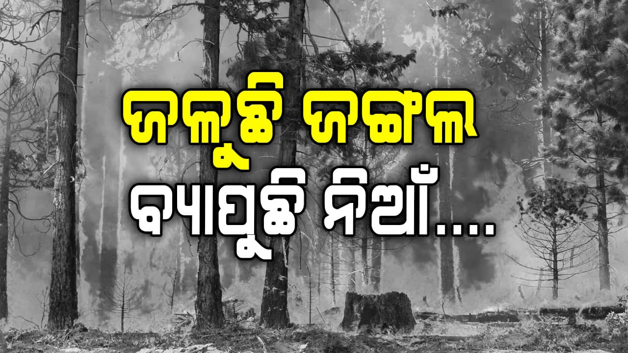 ଗ୍ରୀଷ୍ମ ଆରମ୍ଭ ପୂର୍ବରୁ ଚିନ୍ତା ବଢ଼ାଇଲାଣି ଜଙ୍ଗଲ ନିଆଁ