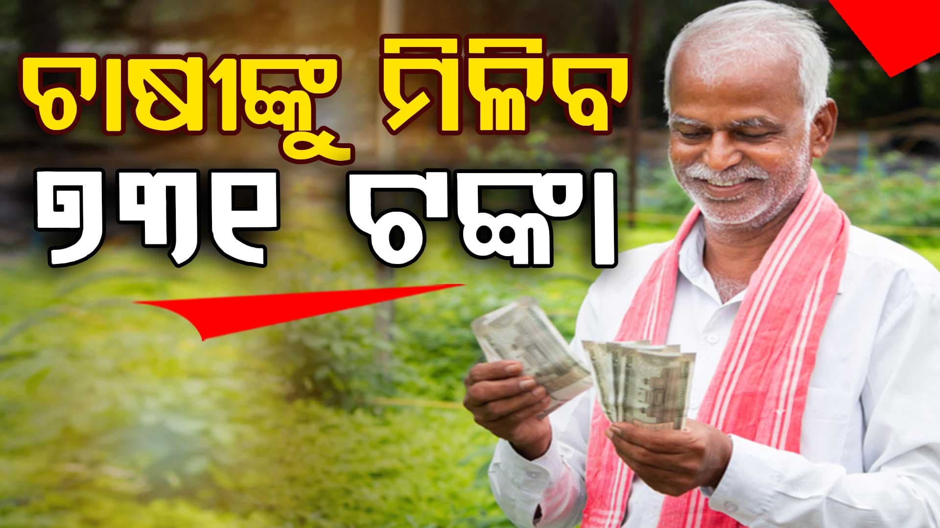 ମେ ୧ ରୁ  ଧାନ କିଣିବେ ସରକାର, କ୍ୱିଣ୍ଟାଲ ପ୍ରତି 731 ଟଙ୍କା ମିଳିବ ଇନପୁଟ୍ ସହାୟତା 