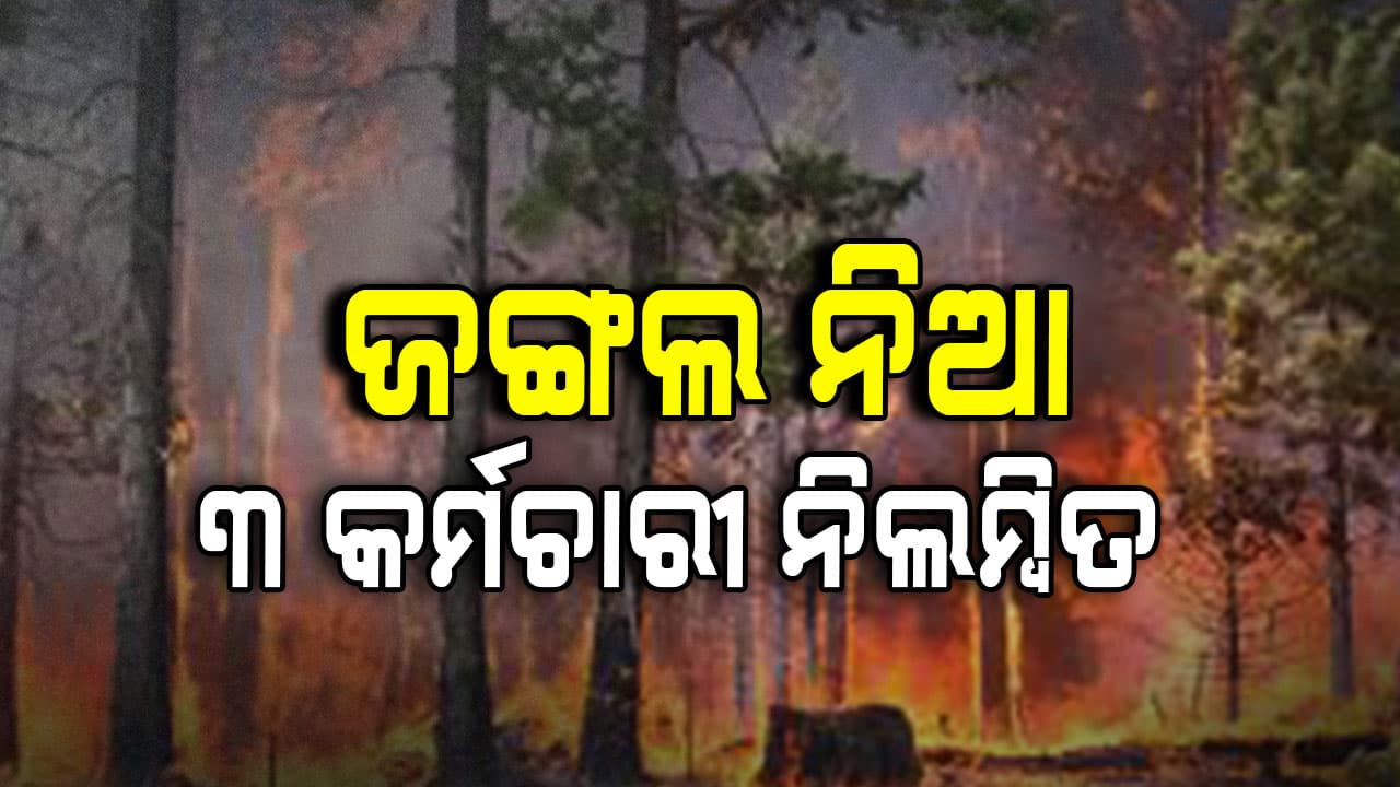 କେନ୍ଦୁଝର ଜିଲ୍ଲାରେ ବିଭିନ୍ନ ଜଙ୍ଗଲରେ ନିଆଁ,୩ ବନ କର୍ମଚାରୀ ନିଲମ୍ବିତ