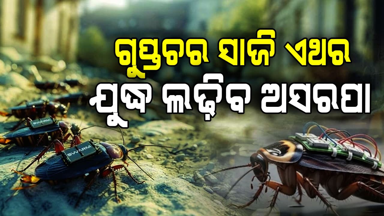 ଘରେ ବୁଲୁଥିବା ଅସରପା, ହୋଇପାରେ ଗୁପ୍ତଚର! ଆସିଲା ନୂଆ ଟେକ୍ନୋଲୋଜି