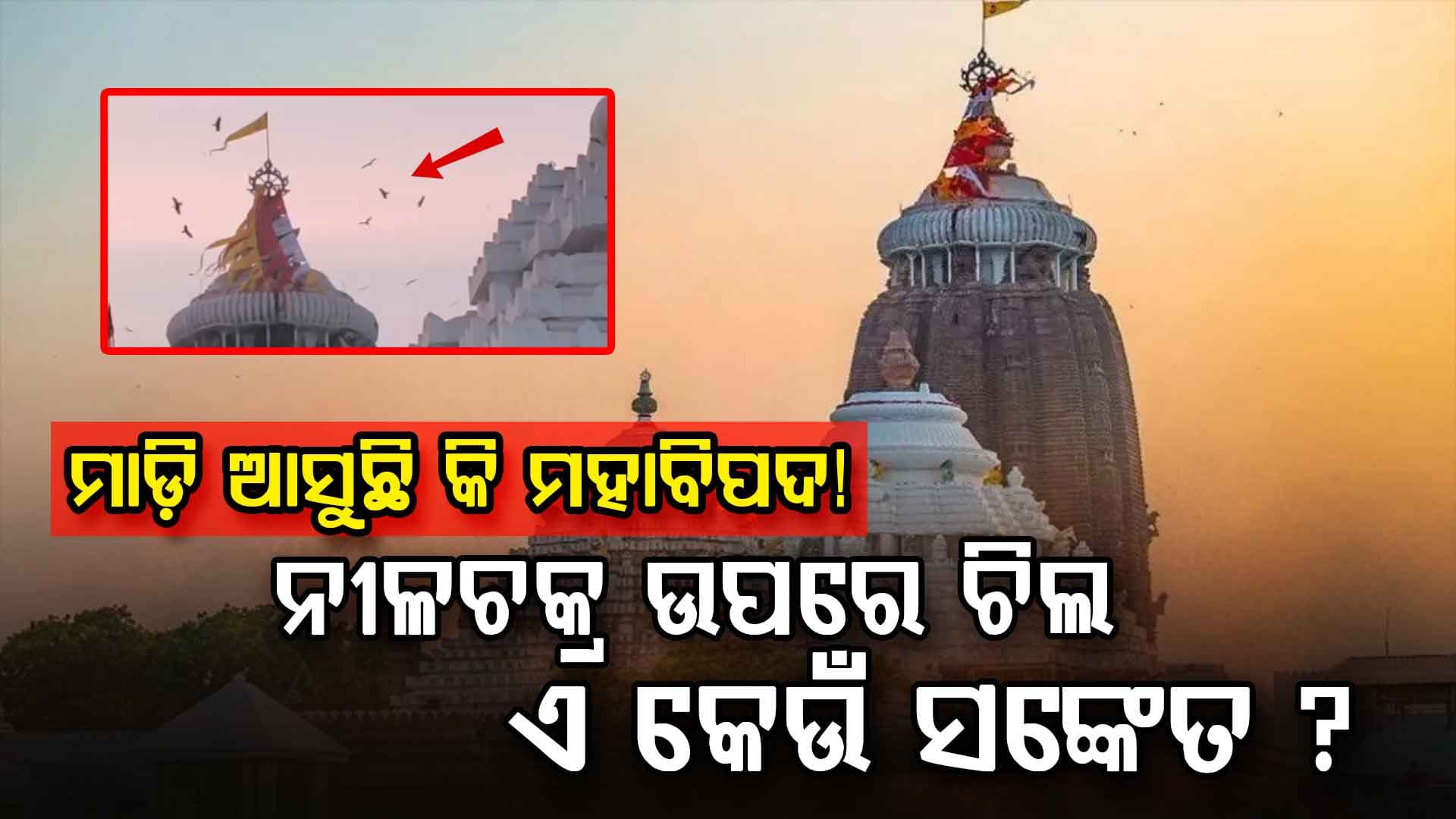 ମାଡ଼ିଆସୁଛି କି ମହାବିପତ୍ତି! ଶ୍ରୀମନ୍ଦିର ଉପରେ ଉଡ଼ିଲେ ଶହ ଶହ ଚିଲ