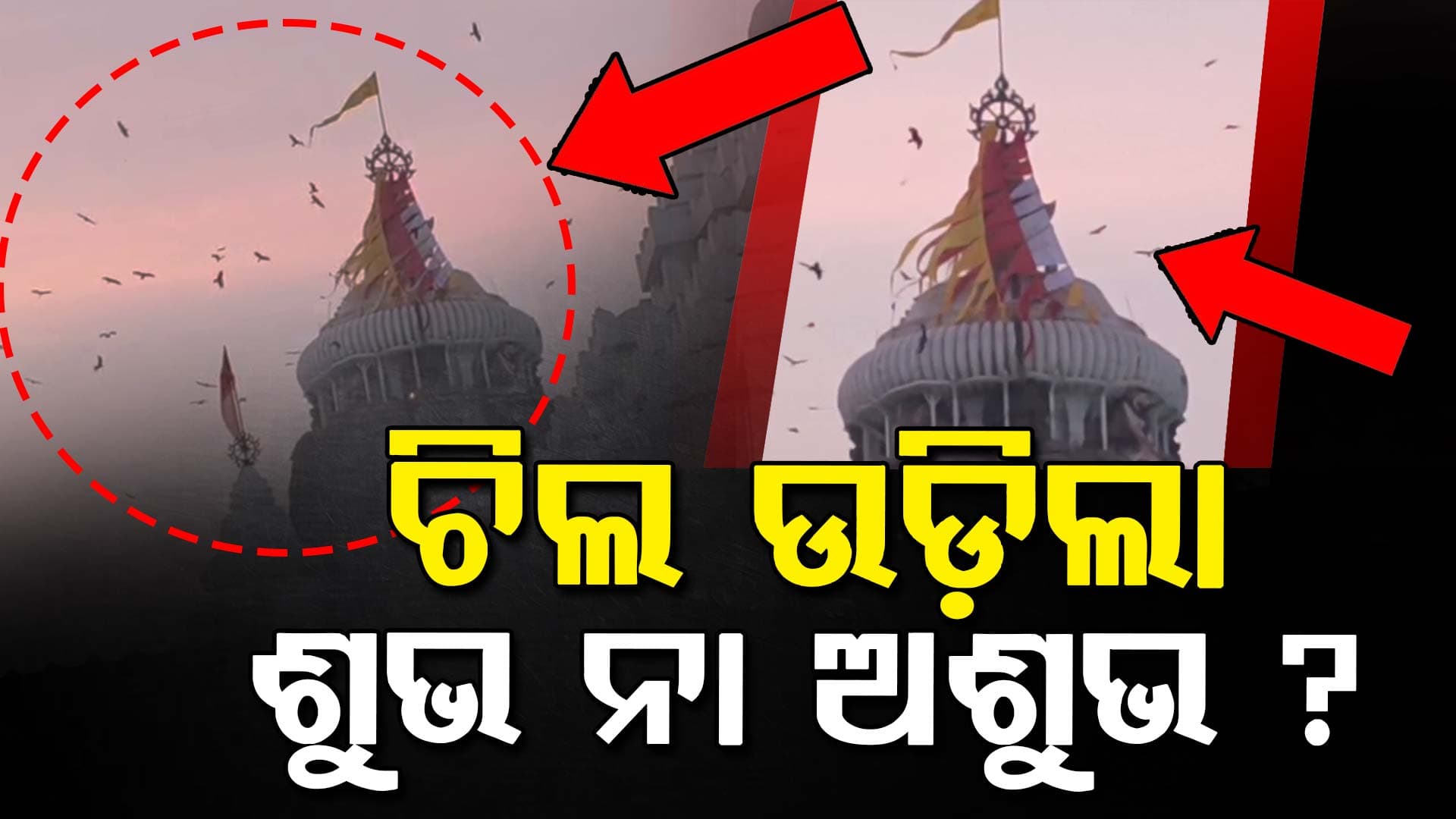 ଶ୍ରୀମନ୍ଦିର ନୀଳଚକ୍ର ଉପରେ ଶହଶହ ଚିଲ: ଲାଗି ରହିବ କି ମଧ୍ୟପ୍ରାଚ୍ୟରେ ଚାଲୁଥିବା ଯୁଦ୍ଧ ?  