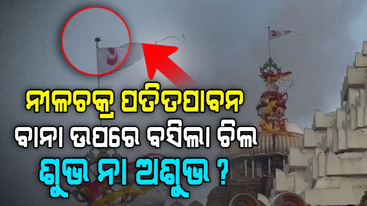 ଶ୍ରୀମନ୍ଦିର ନୀଳଚକ୍ର ପତିତପାବନ ବାନା ଉପରେ ବସିଲା ଚିଲ। ଶୁଭ ନା ଅଶୁଭ ତାକୁ ନେଇ ବିଭିନ୍ନ ମହଲରେ ପ୍ରଶ୍ନ 