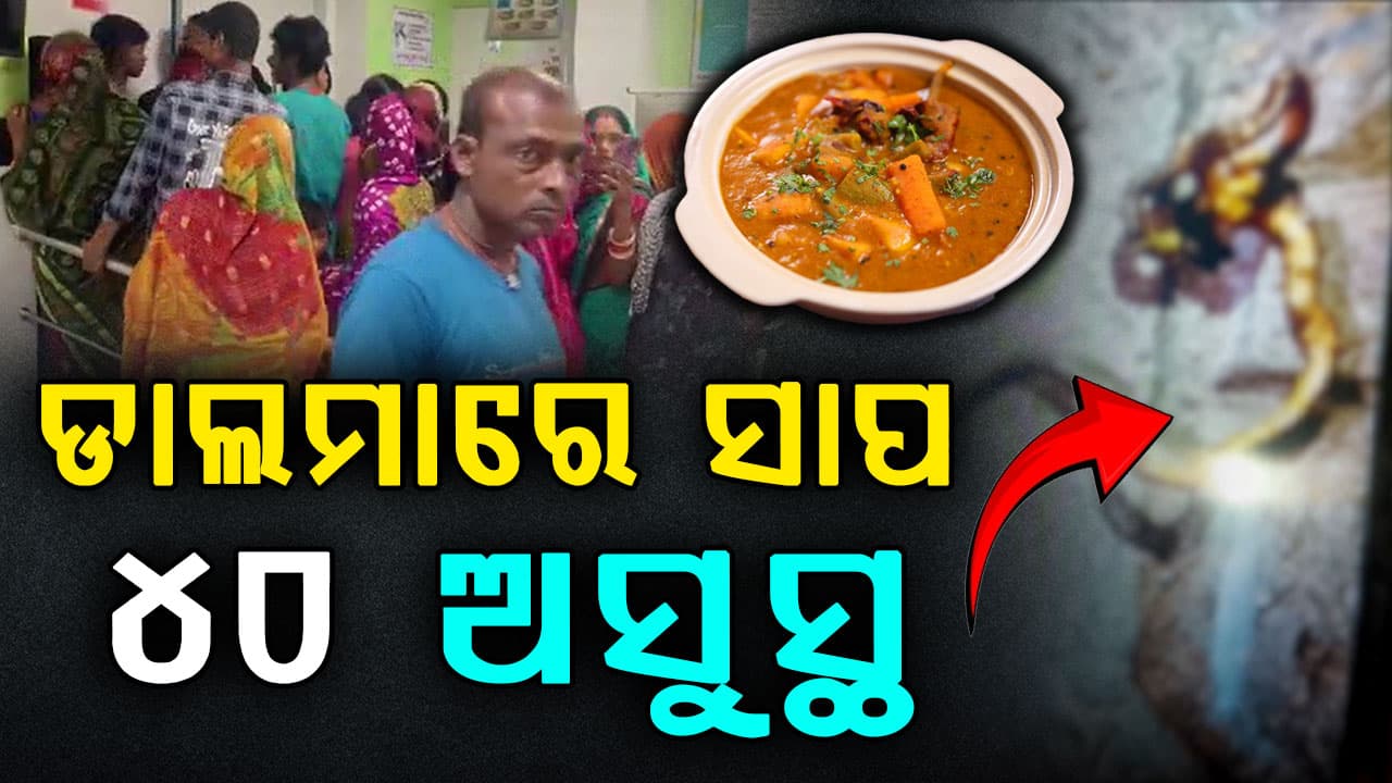 ଭୋଜି ବେଳେ ଡାଲମାରୁ ବାହାରିଲା ବିଷାକ୍ତ ସାପ, ୪୦ ଅସୁସ୍ଥ