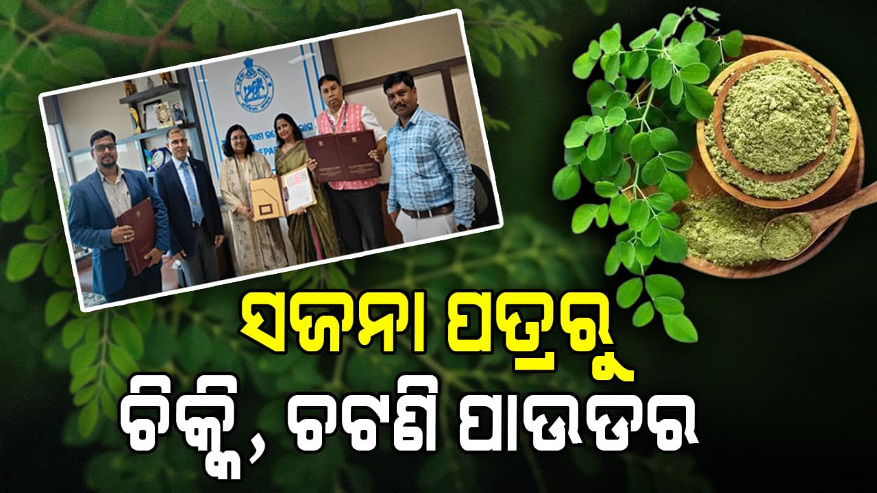 ସଜନା ପତ୍ରରୁ କମ ଚର୍ବିଯୁକ୍ତ ହେଲଦି ପ୍ରଡକ୍ଟ; ପ୍ରଯୁକ୍ତିବିଦ୍ୟା ସପୋର୍ଟ ଦେଲା NRDC