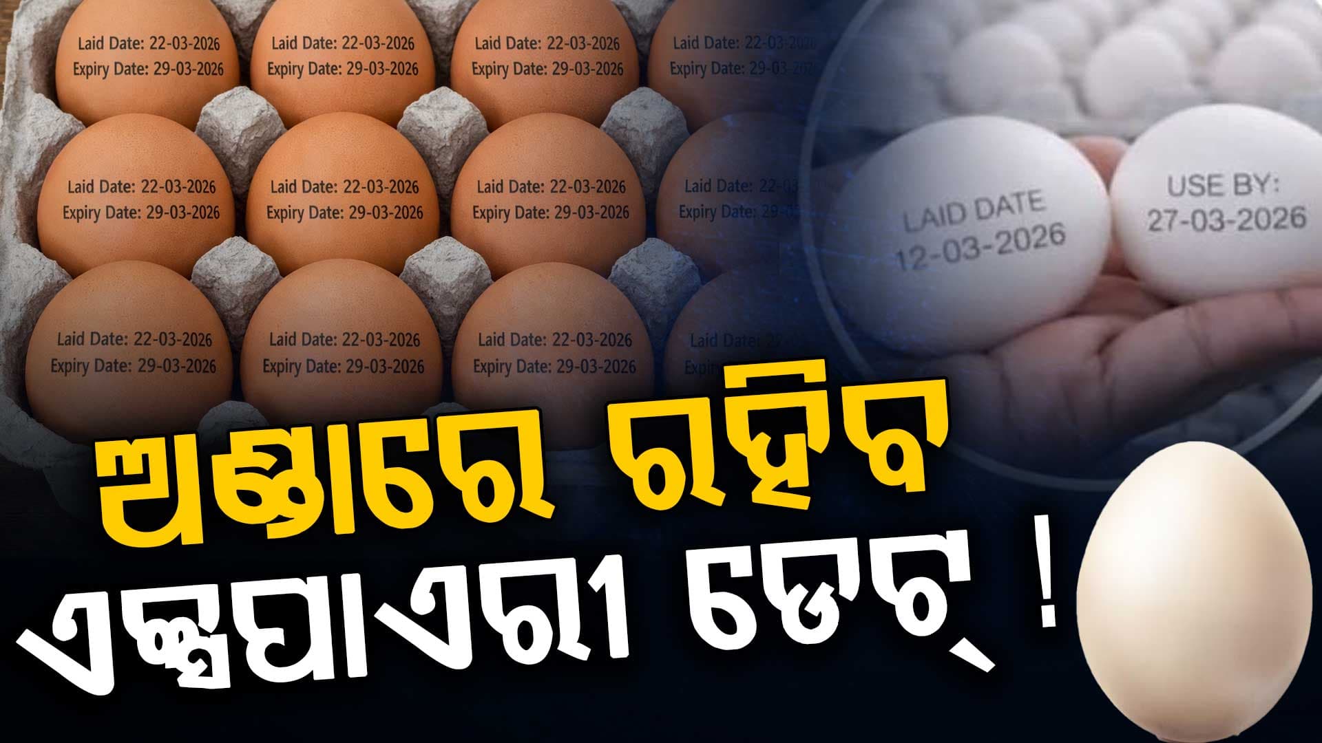 ଅଣ୍ଡାରେ ରହିବ ଏକ୍ସପାଏରୀ ଡେଟ୍ ! ସରକାରଙ୍କୁ ପ୍ରସ୍ତାବ ଦେବ ବିଭାଗ