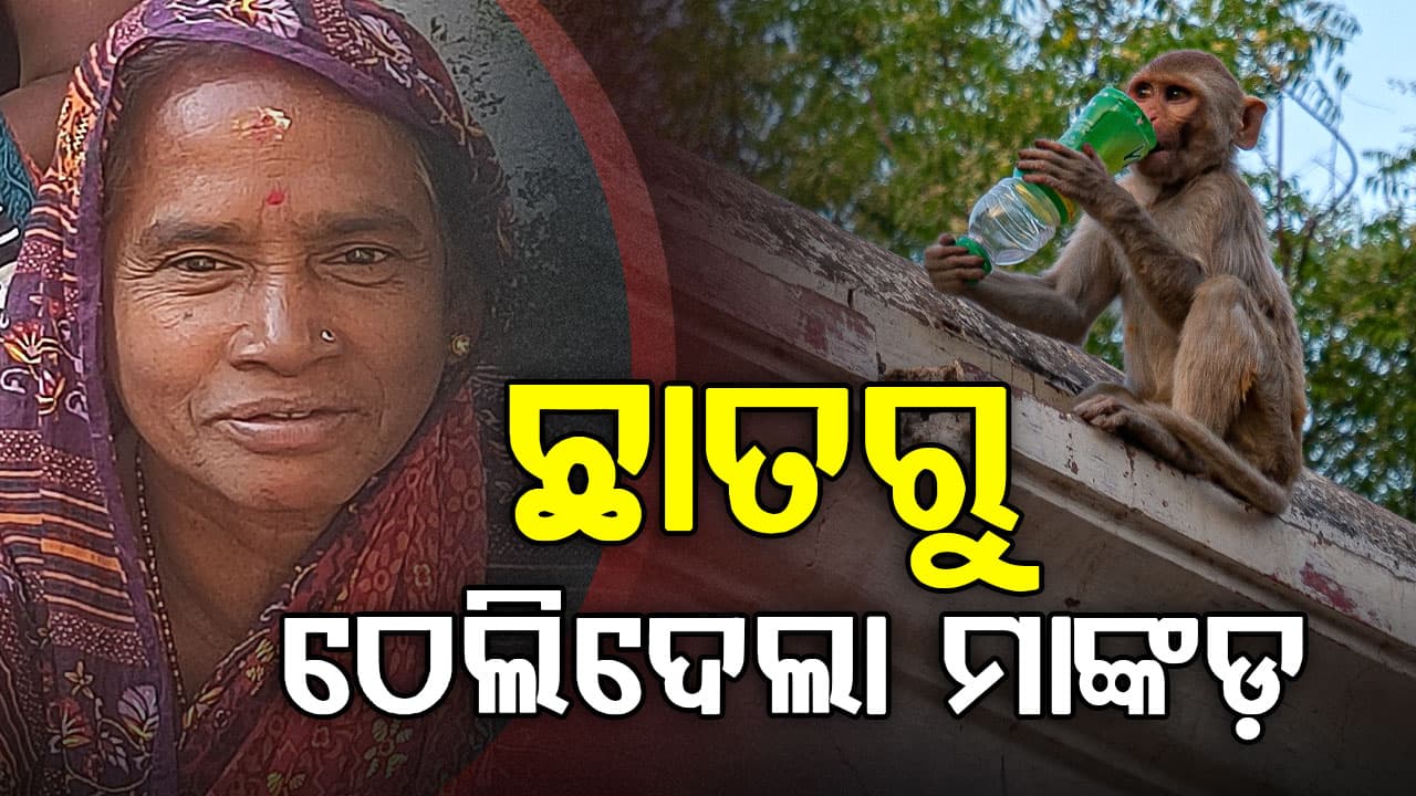 ଛାତରୁ ଲୁଗା ଆଣୁଥିଲେ ମହିଳା, ମାଙ୍କଡ଼ ତଳକୁ ଠେଲି ଦେବାରୁ ମୃତ୍ୟୁ