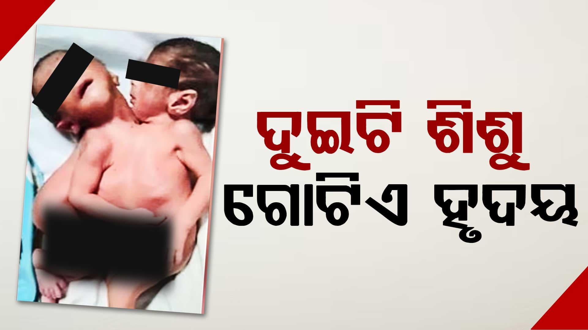 ଦୁଇଟି ମୁଣ୍ଡ, ଦୁଇଟି ହାତ ଏବଂ ଚାରୋଟି ଗୋଡ କିନ୍ତୁ ଗୋଟିଏ ହୃଦୟ ତେବେ...