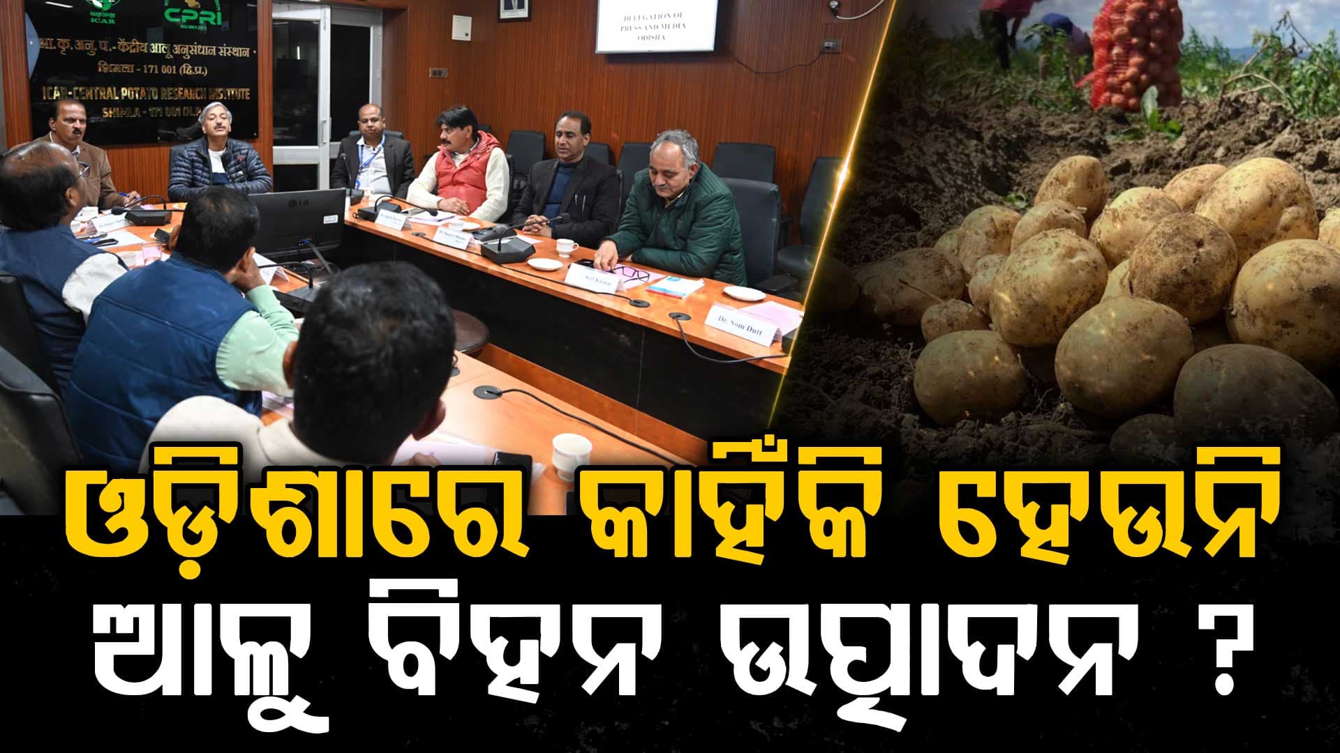 ଆଳୁ ପାଇଁ ଅନ୍ୟ ରାଜ୍ୟ ଉପରେ ନିର୍ଭର କାହିଁକି ଓଡ଼ିଶା ? ଜାଣନ୍ତୁ ପ୍ରକୃତ ସତ୍ୟ