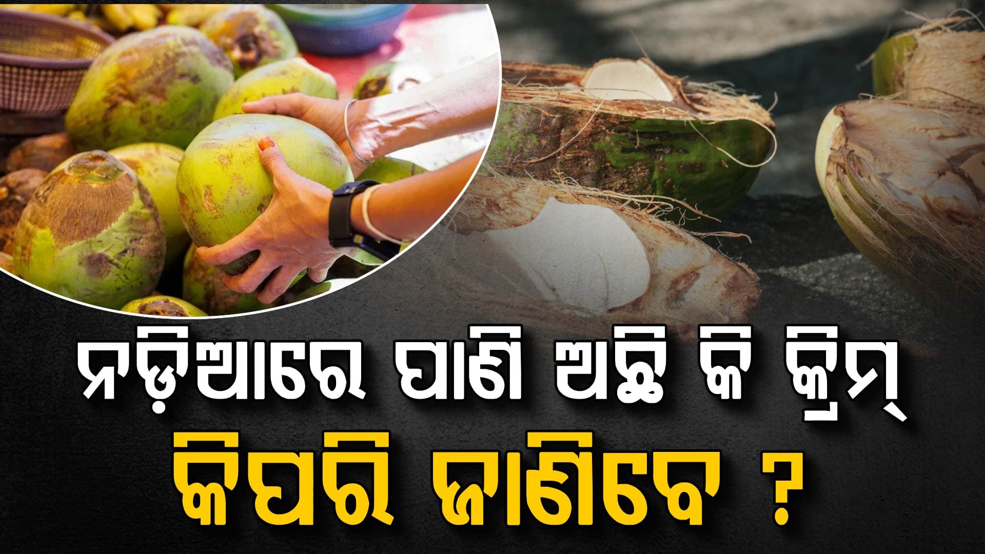 ନଡ଼ିଆ କିଣିବା ସମୟରେ ଆପଣାନ୍ତୁ ଏହି ଟିପ୍ସ୍
