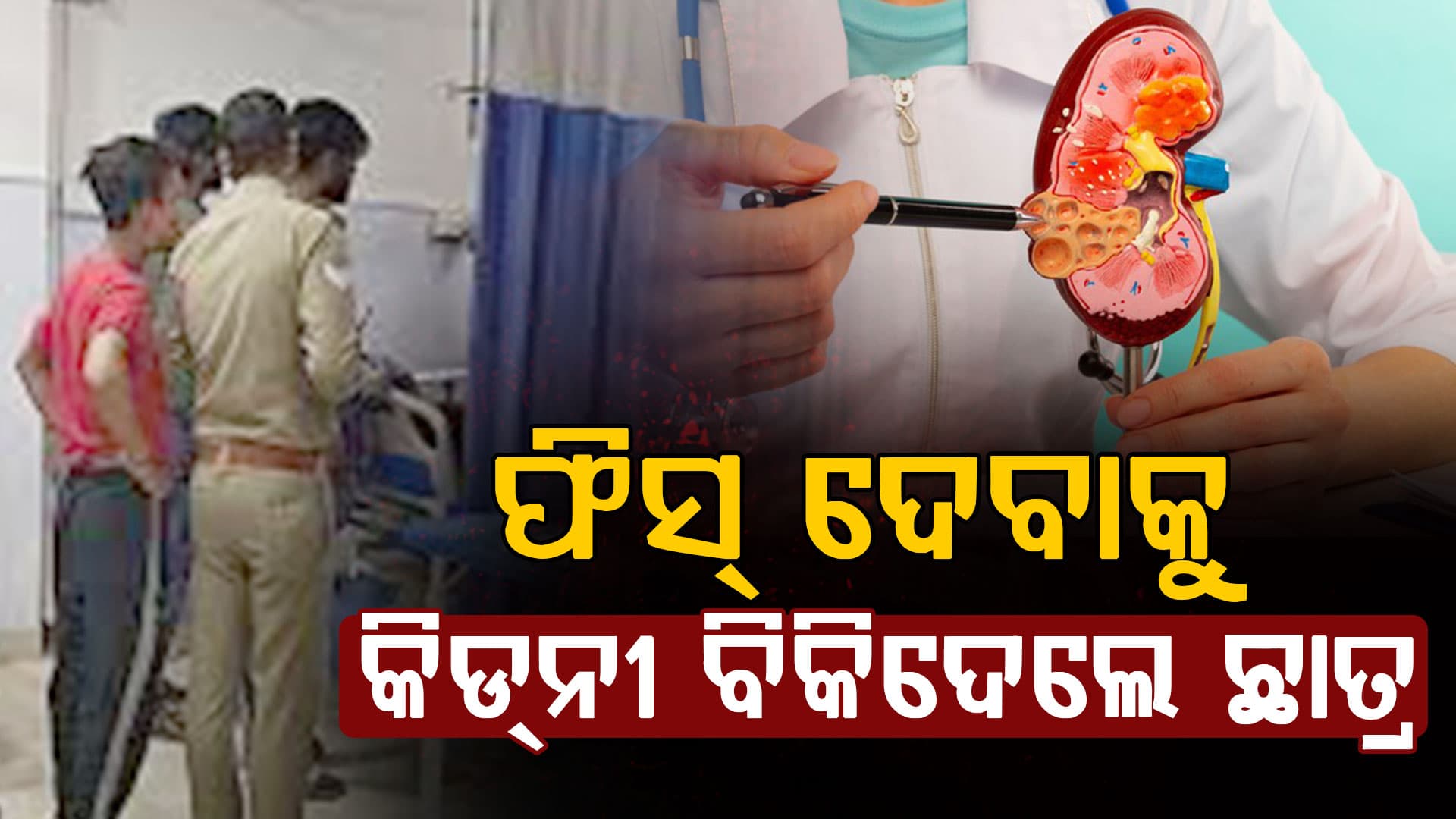 ଧରା ପଡ଼ିଲା ବଡ଼ ର୍ୟାକେଟ୍: ଫିସ୍ ଦେବାକୁ କିଡନୀ ବିକିଲା MBA ଛାତ୍ର, ଆଉ ତା'ପରେ...