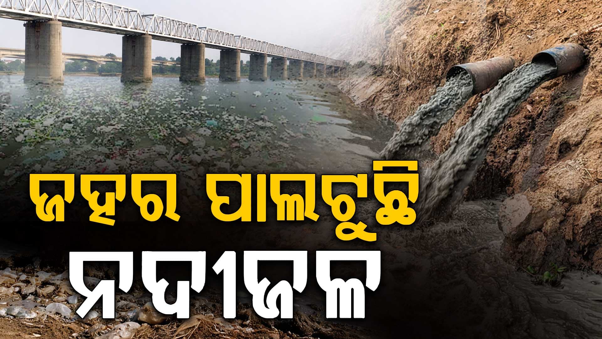 ଜହର ପାଲଟୁଛି ନଦୀଜଳ, ଗାଧୋଇଲେ ମାଡ଼ି ବସିବ ମାରାତ୍ମକ ରୋଗ