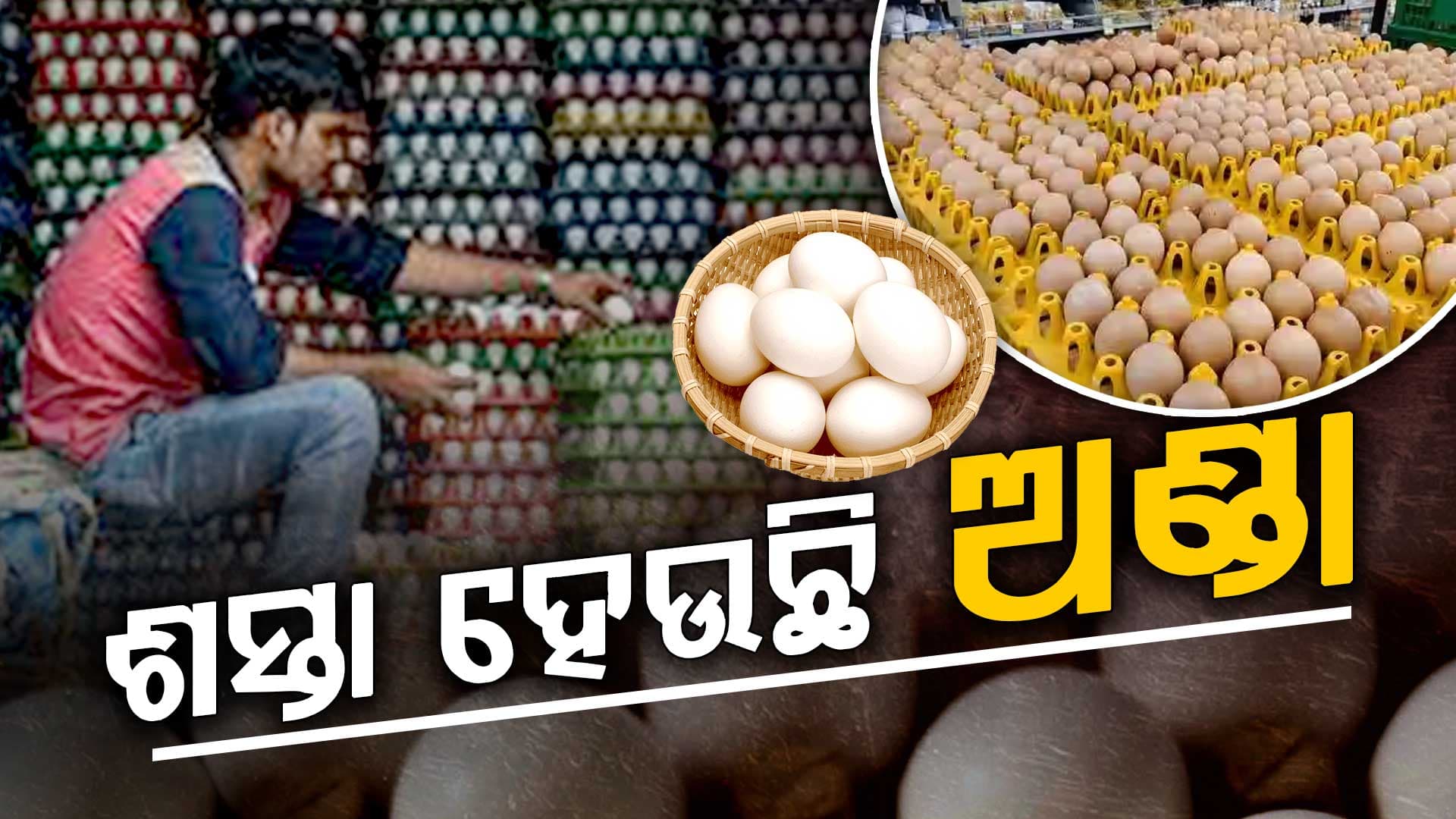 ଖସୁଛି ଅଣ୍ଡା ଦର, ଚିନ୍ତାରେ ଚାଷୀ ଓ ବ୍ୟବସାୟୀ