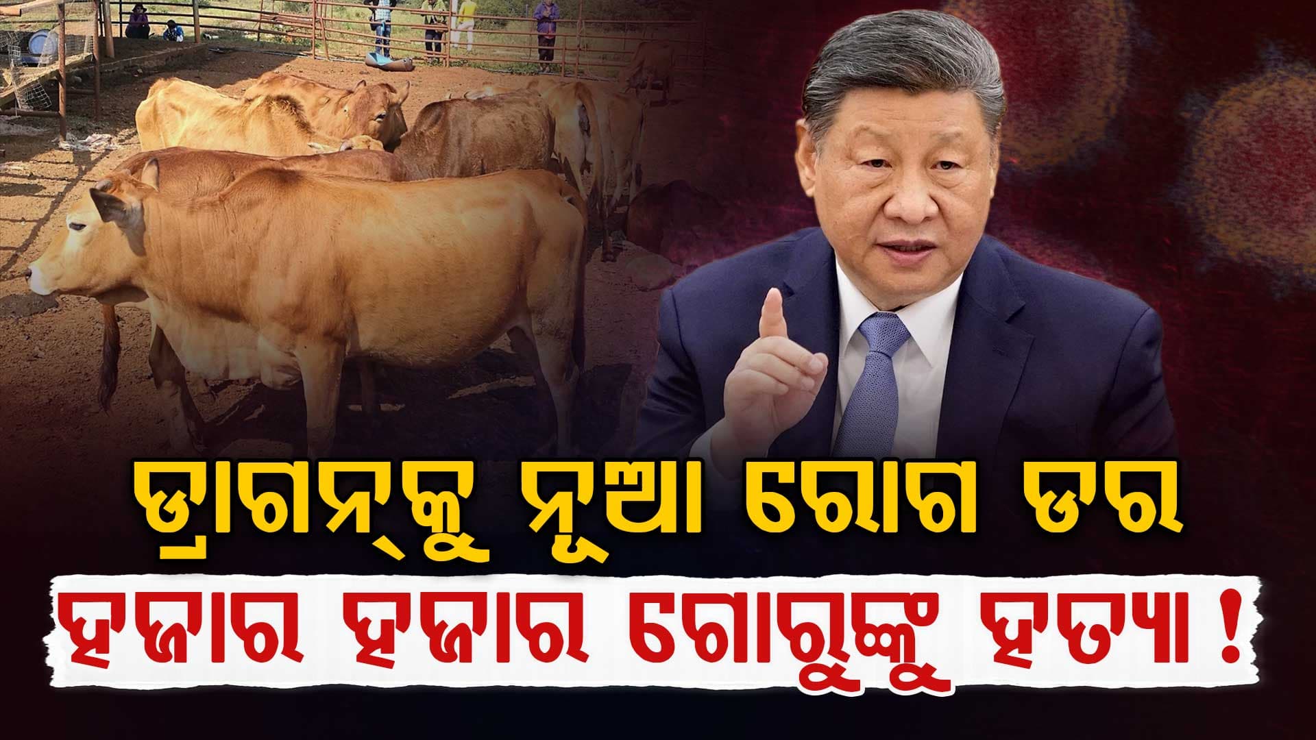 ଚୀନକୁ ବଡ଼ ବିପଦ; କୋଭିଡ୍ ପରେ ବ୍ୟାପିବାରେ ଲାଗିଛି SAT-1 ସେରୋଟାଇପ୍ 