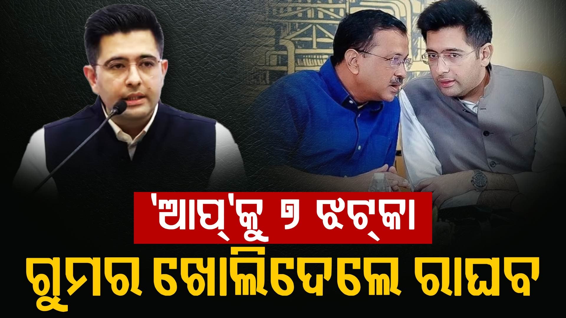 ସେମାନଙ୍କ ଅପରାଧରେ ଭାଗିଦାରୀ ହେବାକୁ ଚାହୁଁନଥିଲି: ରାଘବ ଚଢ଼ା