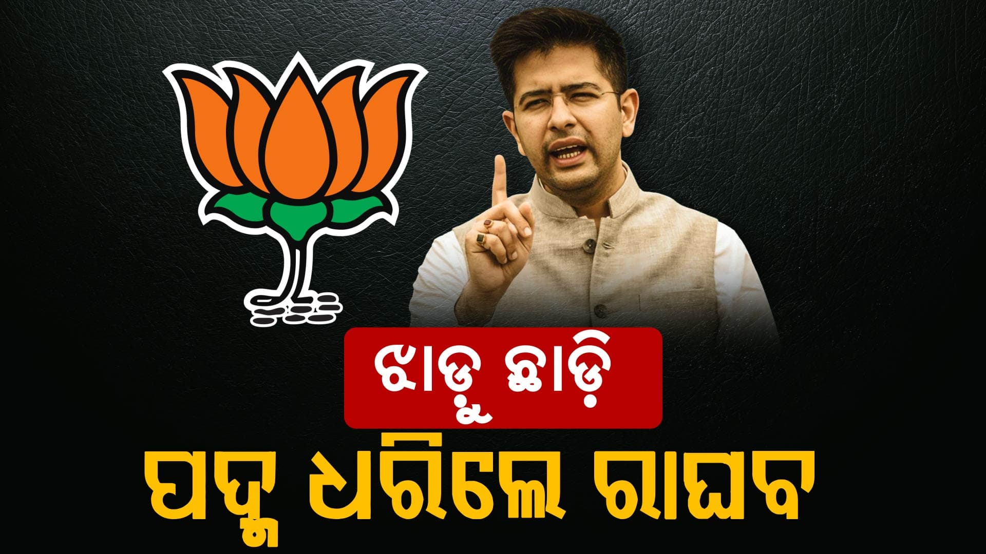 ବିଜେପିରେ ମିଶିଲେ ରାଘବ ଚଢାଙ୍କ ସମେତ ୩ ସାଂସଦ