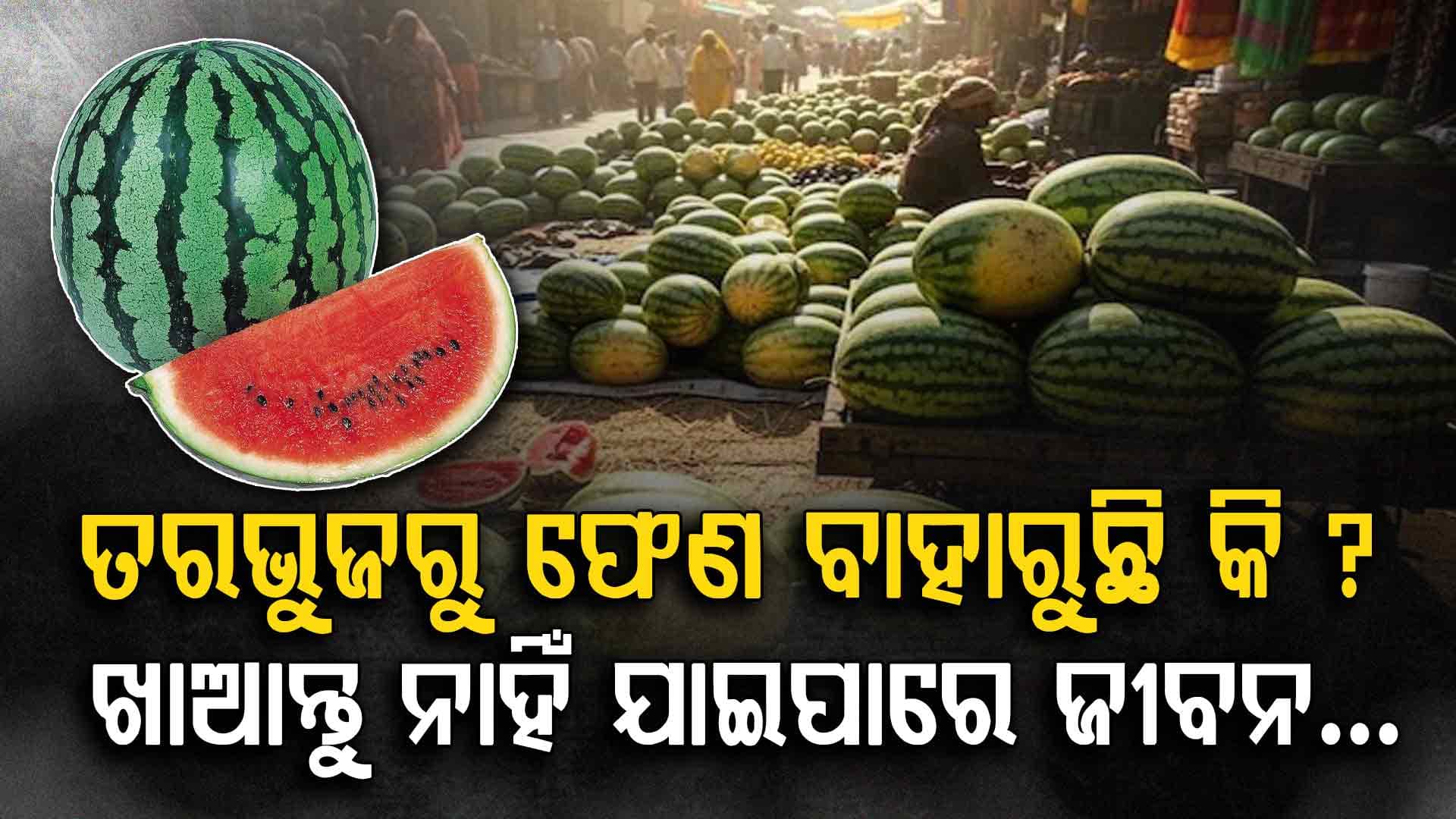 ଯଦି ତରଭୁଜକୁ କାଟିବା ମାତ୍ରେ ସେଥିରୁ ଫେଣ ବାହାରୁଛି, ତେବେ ସାବଧାନ, ଏହାକୁ ଖାଆନ୍ତୁ ନାହିଁ? 
