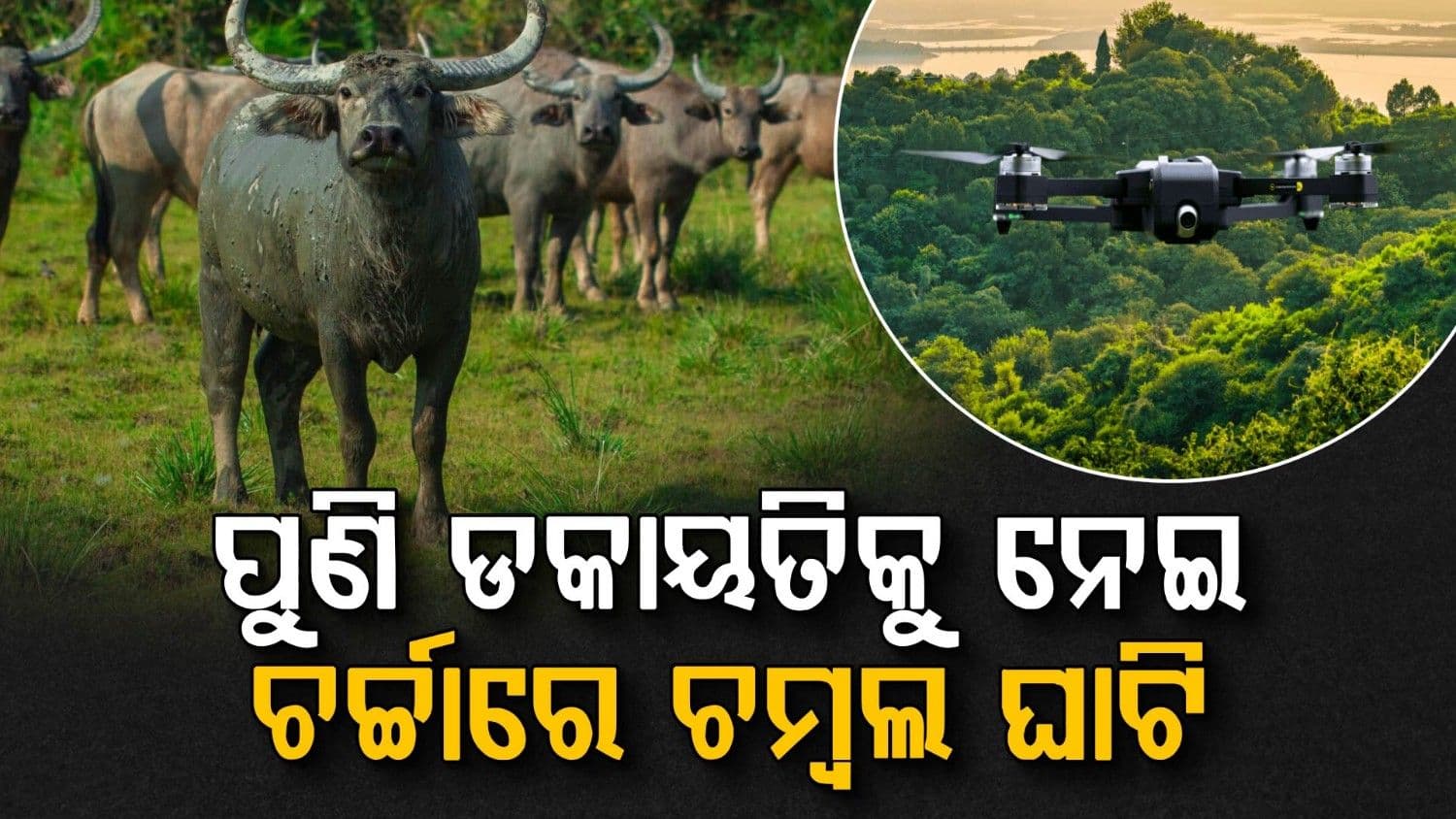 ବନ୍ଧୁକ ମୁନରେ ଲୁଟିଲେ ୬୦ ମଇଁଷି, ମାଡ଼ି ବସିଲା ଡ୍ରୋନ୍ କ୍ୟାମେରା