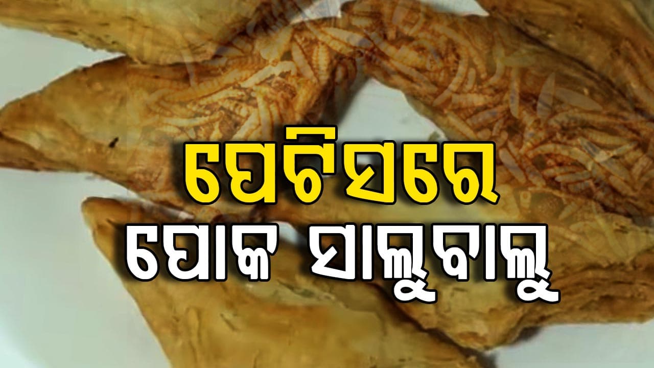ପେଟିସ୍ ଭିତରୁ ବାହାରିଲା ଜୀଅନ୍ତା ପୋକ…ଫେମସ୍ ଫୁଡ୍ ଆଉଟଲେଟ୍‌ରେ ଚଢ଼ାଉ କଲା FSDA