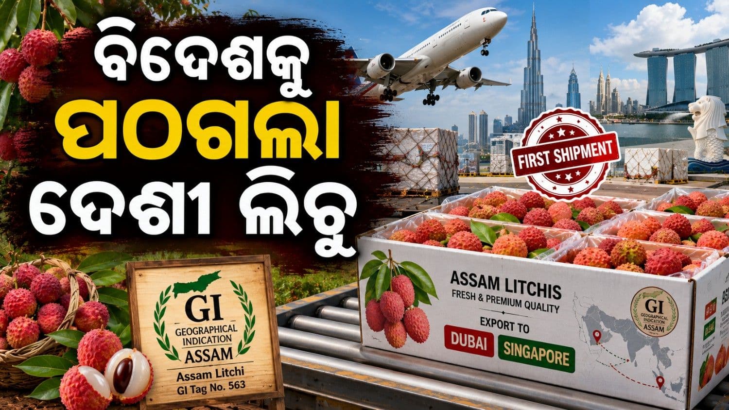 ଦୁବାଇ-ସିଙ୍ଗାପୁର ପଠାଗଲା ଆସାମର ଜିଆଇ ଟ୍ୟାଗ୍ ମାର୍କା ଲିଚୁ 