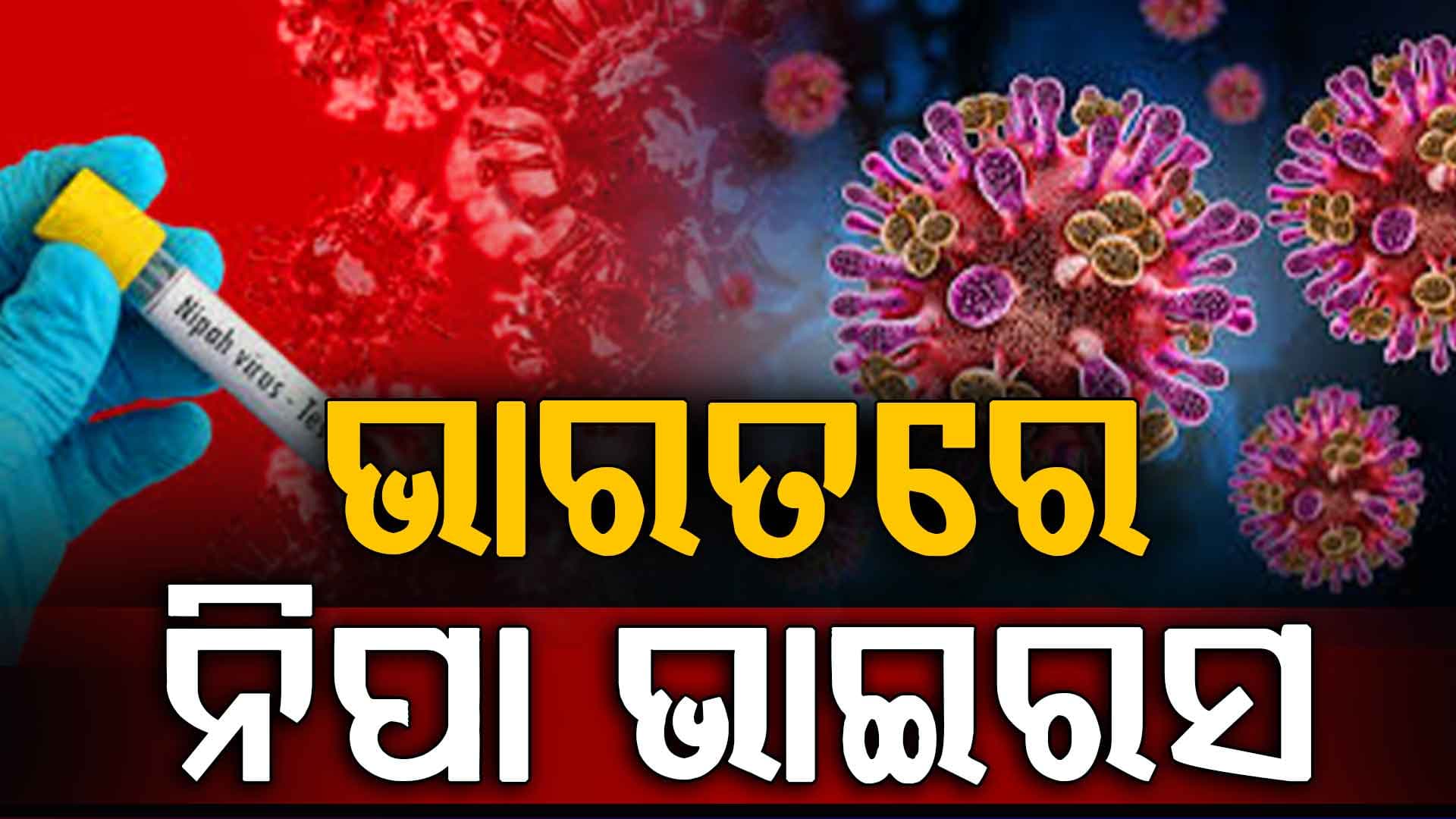 କେରଳମ୍‌ରେ ନିପା ଭାଇରସର ପ୍ରଥମ ମାମଲା, ଭେଣ୍ଟିଲେଟରରେ ସଂକ୍ରମିତ ରୋଗୀ