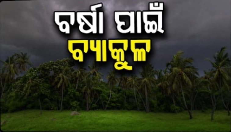 ଜୁନ୍‌ରେ ପ୍ରବଳ ଖରା ସାଙ୍ଗକୁ ଅସହ୍ୟ ଗୁଳୁଗୁଳି, ବର୍ଷା ଅଭାବରୁ ଆଗେଇ ପାରୁନି ଚାଷ କାମ