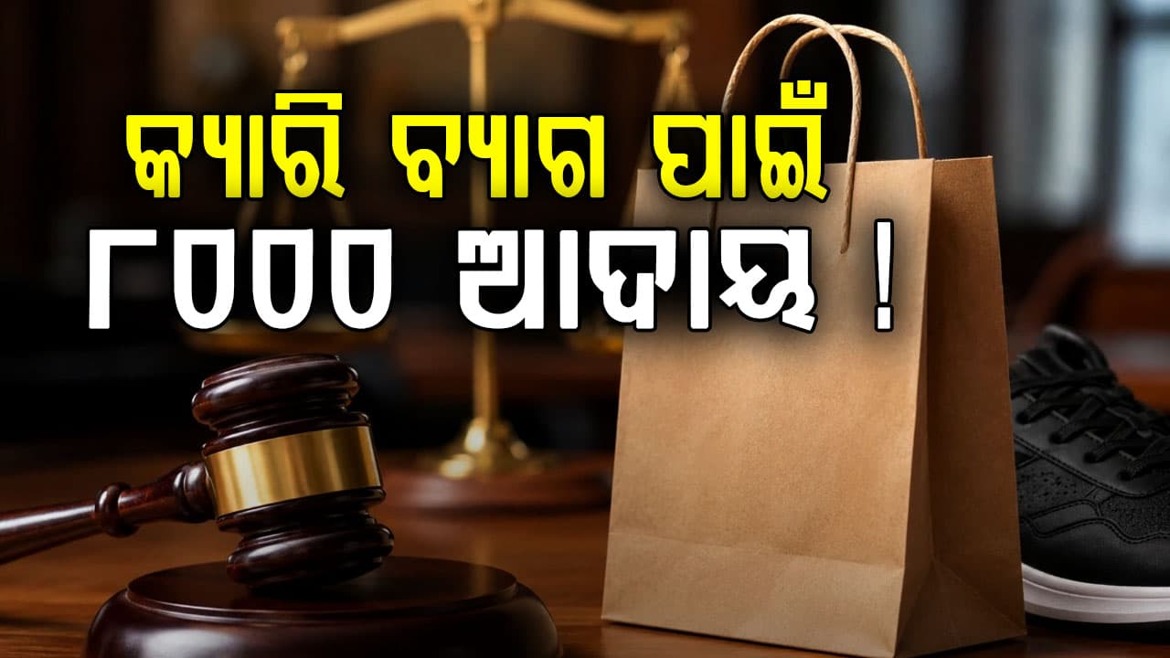 ଗ୍ରାହକଙ୍କଠୁ କ୍ୟାରି ବ୍ୟାଗ ପାଇଁ ୧୦ ଟଙ୍କା ଆଦାୟ କରି ଫସିଲା କମ୍ପାନୀ, ଗଣିବ ୮ହଜାର ଟଙ୍କା...