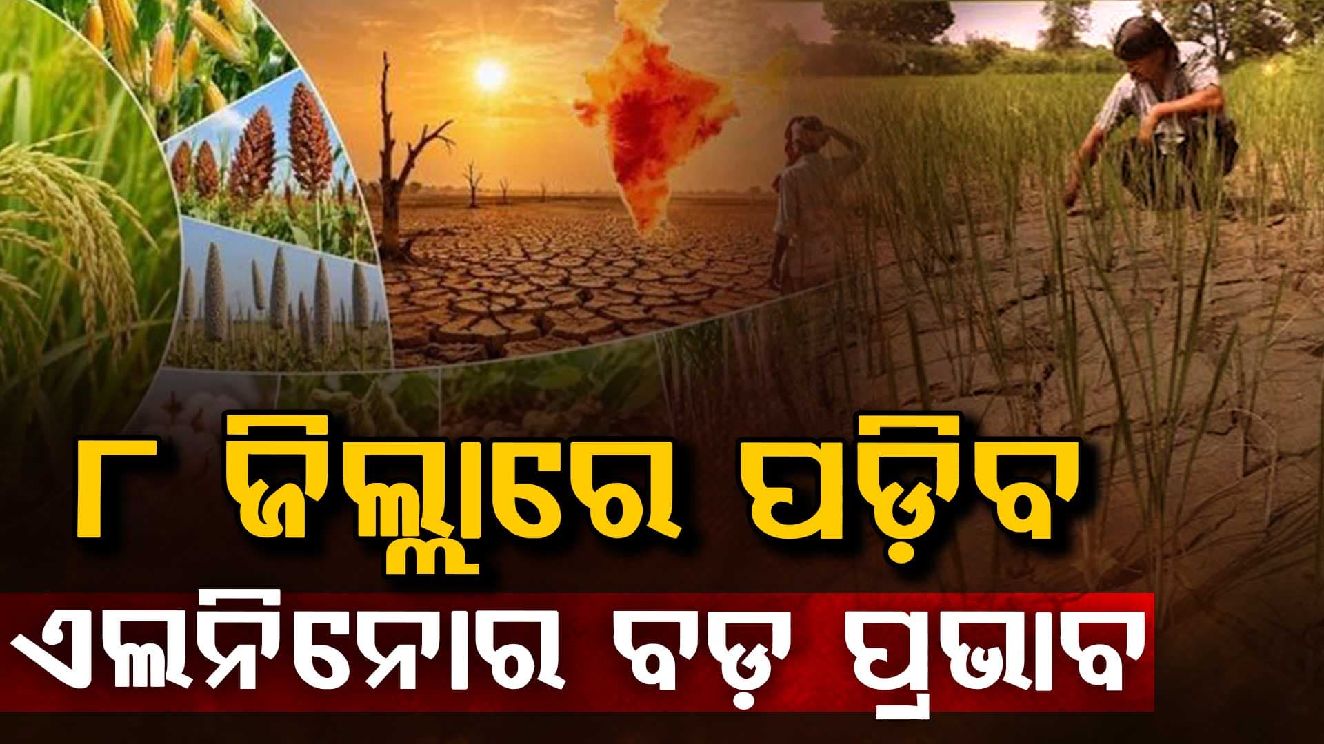 ସାରା ରାଜ୍ୟକୁ ଛୁଇଁଲା ମୌସୁମୀ, କିନ୍ତୁ ବର୍ଷାର ଦେଖା ନାହିଁ, ରାଜ୍ୟର ୮ ଜିଲ୍ଲାରେ ପଡ଼ିବ ଏଲନିନୋର ବଡ଼ ପ୍ରଭାବ.