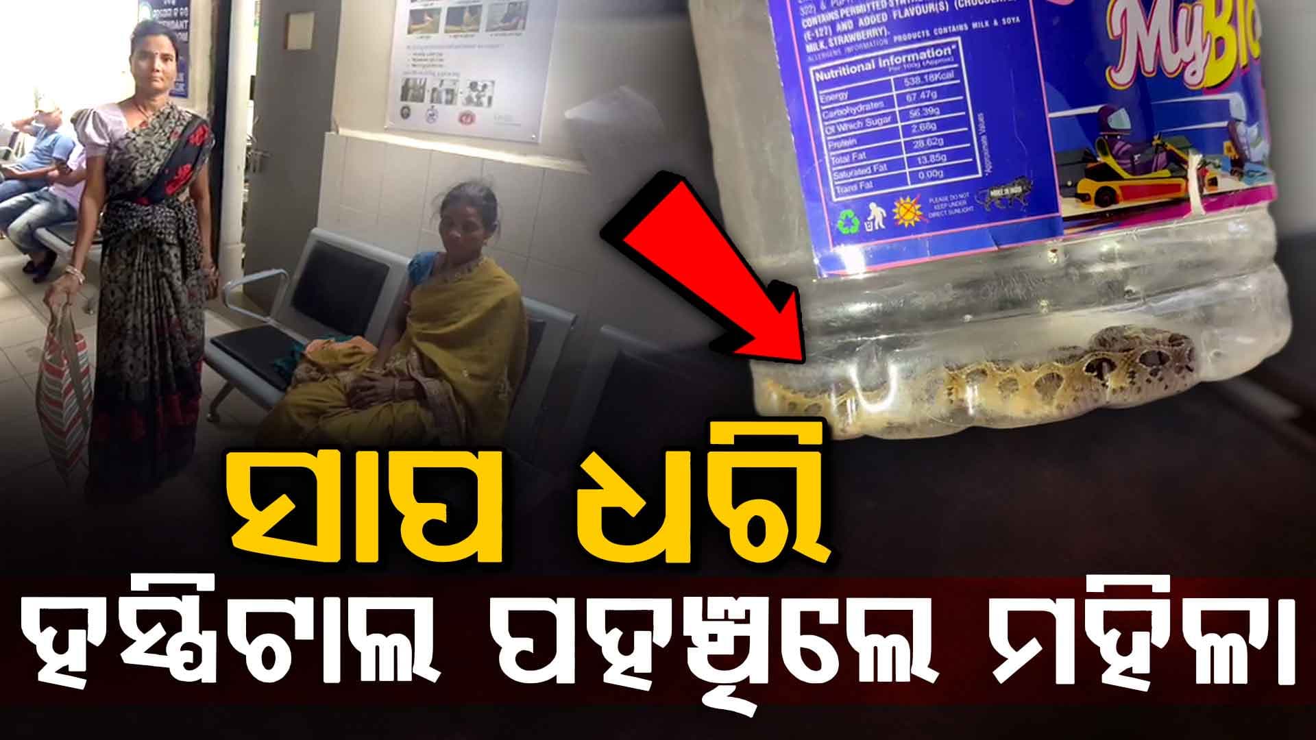 ସାପ କାମୁଡ଼ିବା ପରେ ଜିଅନ୍ତା ସାପକୁ ଧରି ହସ୍ପିଟାଲରେ ପହଞ୍ଚିଲେ ମହିଳା