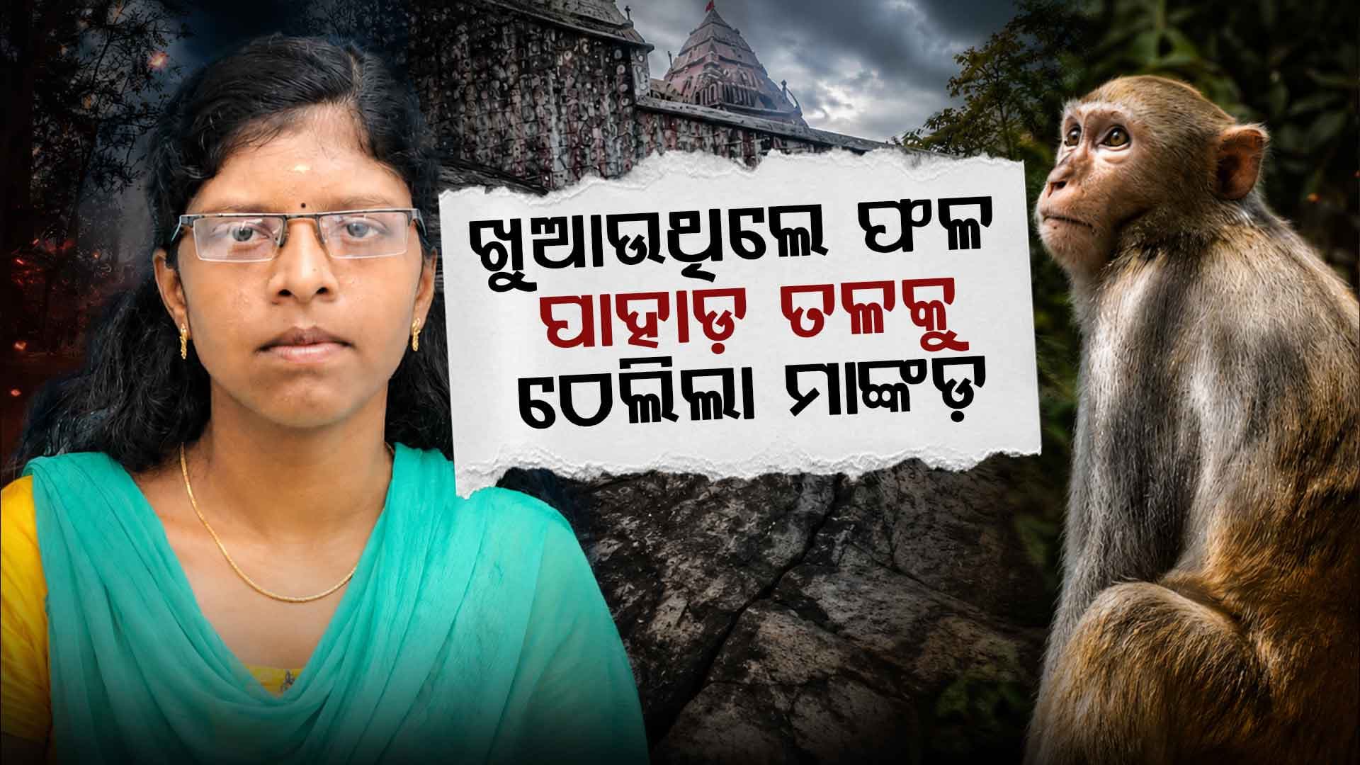 ମାଙ୍କଡ଼ଙ୍କୁ ଫଳ ଖୁଆଇବା ବେଳେ ଦୁର୍ଘଟଣା, ପାହାଡ଼ରୁ ଖସି ମହିଳାଙ୍କ ମୃତ୍ୟୁ 