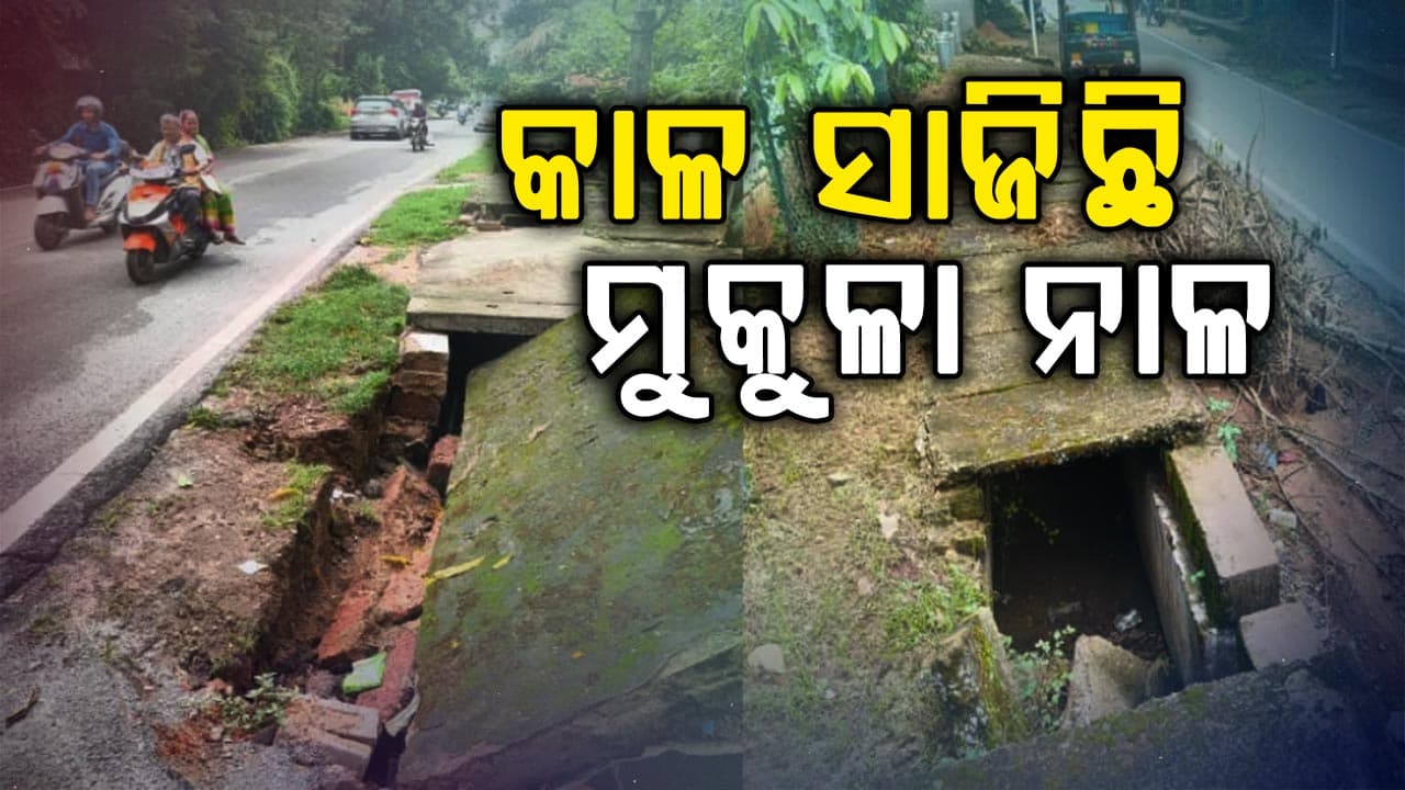 ରାଜଧାନୀରେ ୧୦ରୁ ଅଧିକ ମୁଣ୍ଡ ନେଲାଣି ମୁକୁଳା ନାଳ
