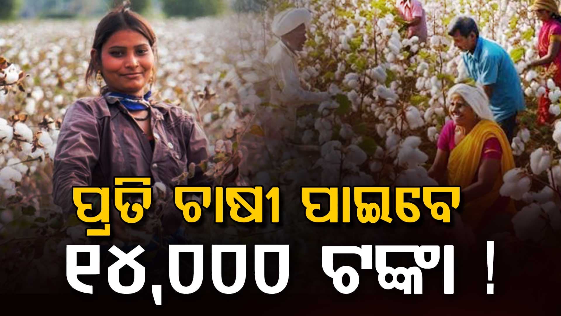 ସରକାରଙ୍କ ବଡ଼ ଘୋଷଣା: ଏହି ଚାଷୀମାନେ ପାଇବେ ୧୪,୦୦୦ ସହାୟତା, ଏବେ କରନ୍ତୁ ଆବେଦନ 