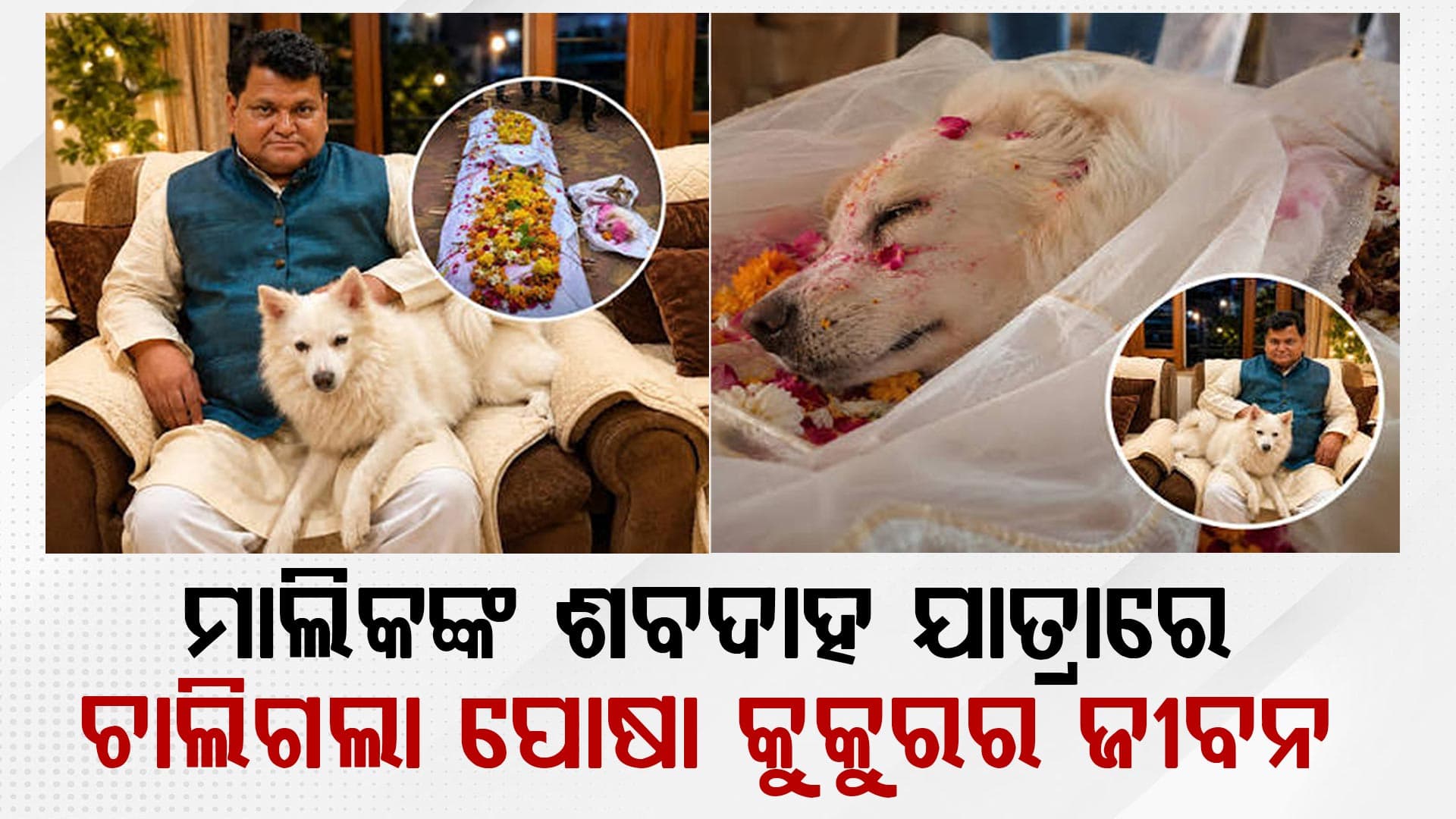 ଏମିତି ବି ଆସେ ମୃତ୍ୟୁ: ଏକାସାଥେ ଚାଲିଗଲା ମାଲିକ ଓ ପୋଷା କୁକୁରର ଜୀବନ