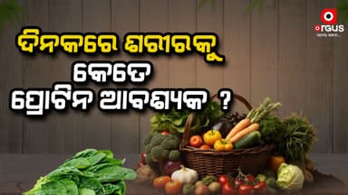 ଗୋଟିଏ ଦିନରେ କେତେ ପ୍ରୋଟିନ୍ ଖାଇବା ଆବଶ୍ୟକ ?