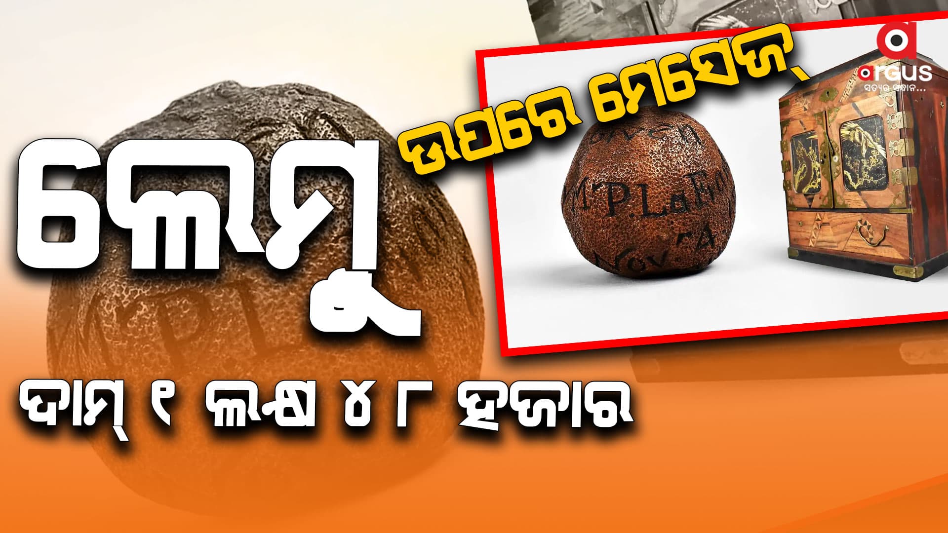 ଆଲମାରୀରୁ  ବାହାରିଲା ୨୮୫ ବର୍ଷର ପୁରୁଣା ଲେମ୍ୱୁ