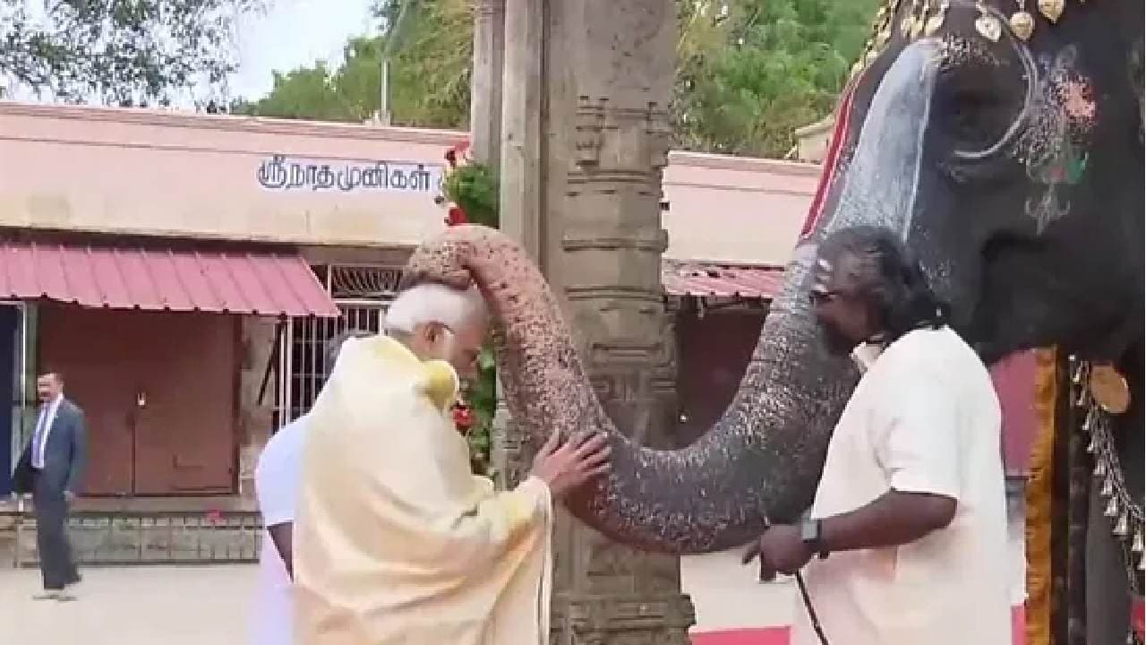 PM Modi Offers Prayers At Sri Ranganathaswamy Temple, Blessed By Elephant Named 'Andal'