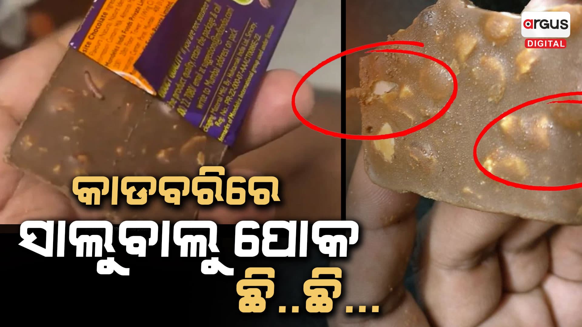 ଆପଣ କାଡବରି ଚକୋଲେଟ ଖାଉଛନ୍ତି କି...ସାବଧାନ