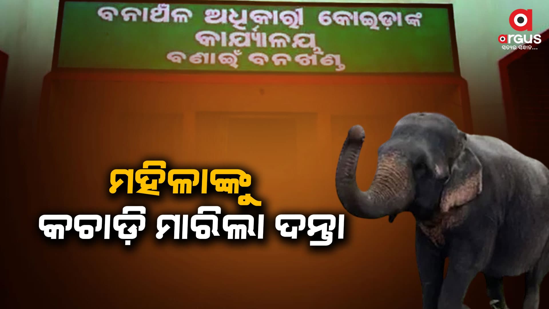 ପରିବାର ଲୋକଙ୍କ ସାମନାରେ ମହିଳାଙ୍କୁ କଚାଡି଼ ମାରିଲା ଦନ୍ତା