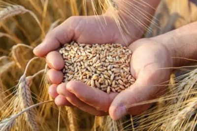 Central Govt Significantly Enhanced Financial Assistance For Farm Sector In Last 10 Years
