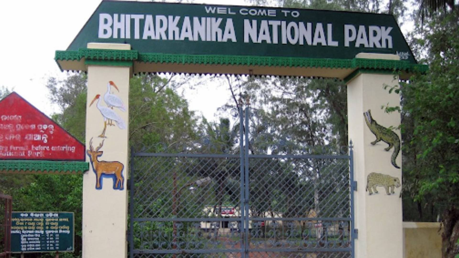 Bhitarkanika Shut From Today For Crocodile Breeding; To Reopen On Aug 1 