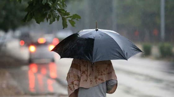 IMD Predicts Rain, Fog Over Several Districts In Odisha