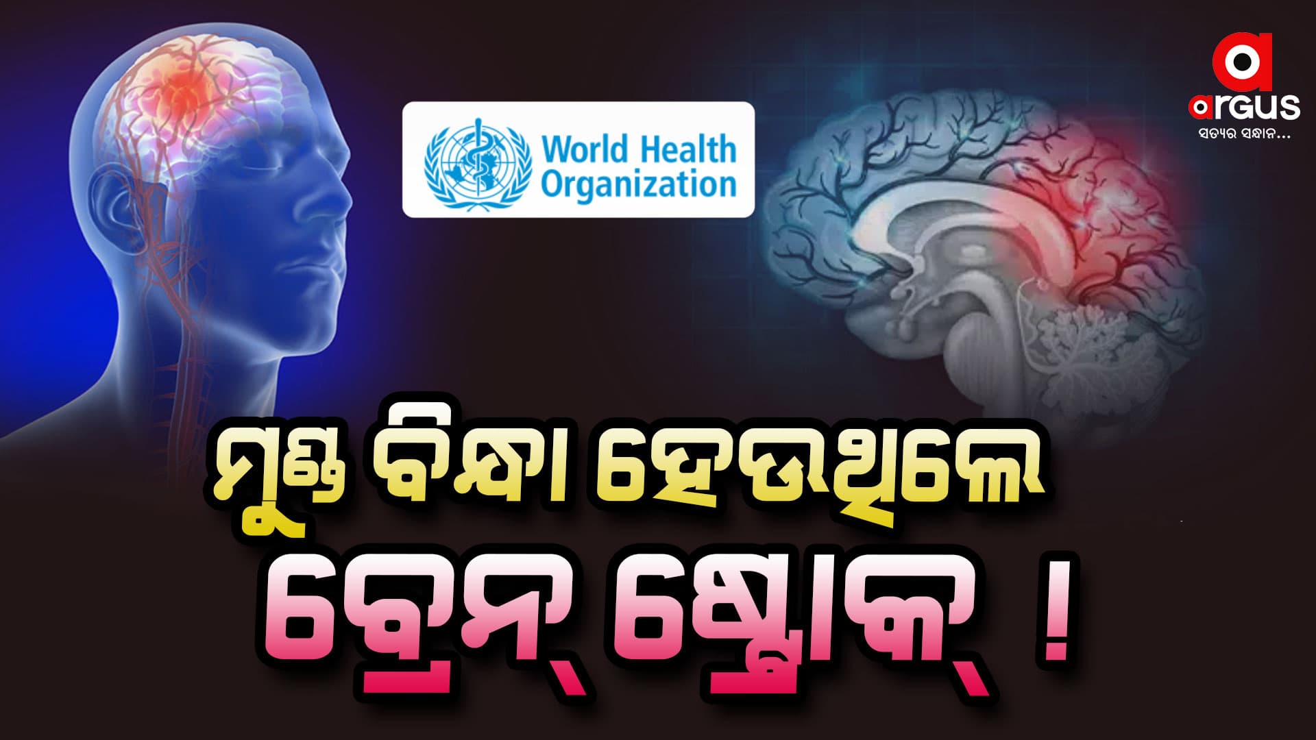 କାହିଁକି ହେଉଛି ବ୍ରେନ୍‌ ଷ୍ଟ୍ରୋକ୍‌ ? ୧୦ ବର୍ଷରେ ୨୦ ପ୍ରତିଶତ ବୃଦ୍ଧି