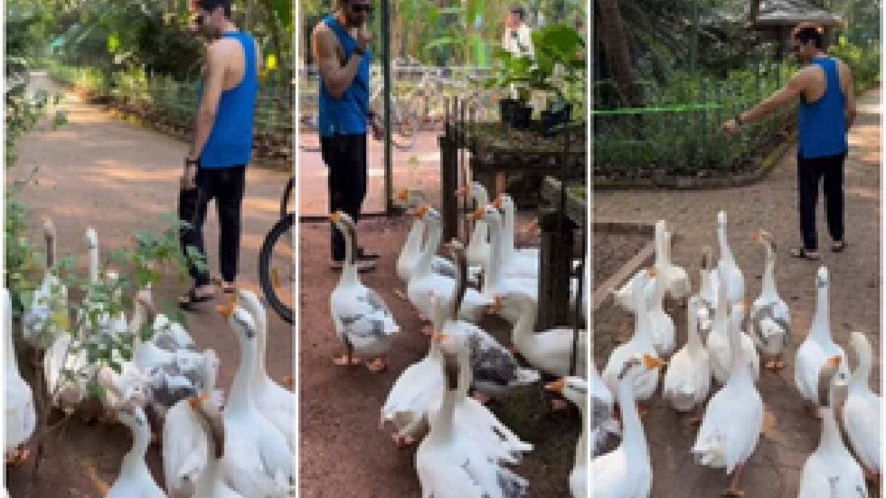 Kartik Aaryan Gets Mobbed By Ducks On his ‘ducks day out’