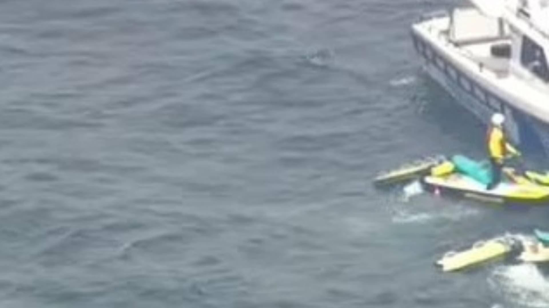 Ex-Military Plane Crashes After Mid-Air Collision In Australia