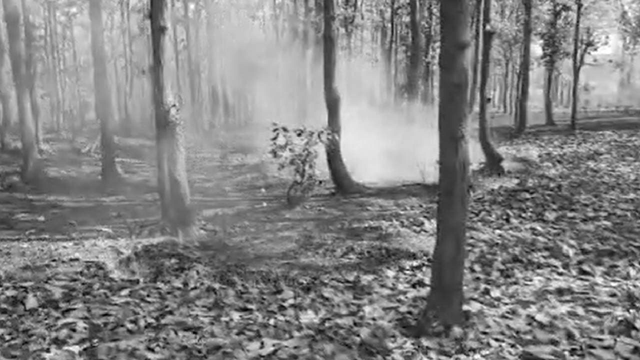 Similipal Forest Fire Spreads To 30 More Points On Second Day In Mayurbhanj 