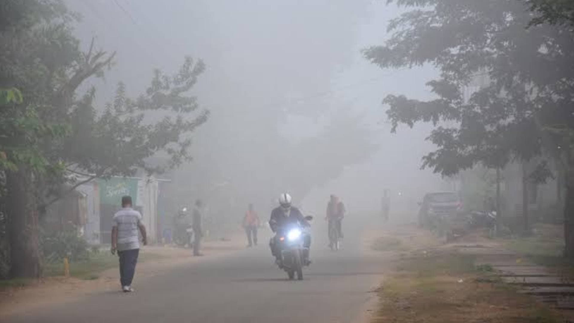 Thick Blanket Of Fog Grips Odisha, Commuters Face Visibility Challenges
