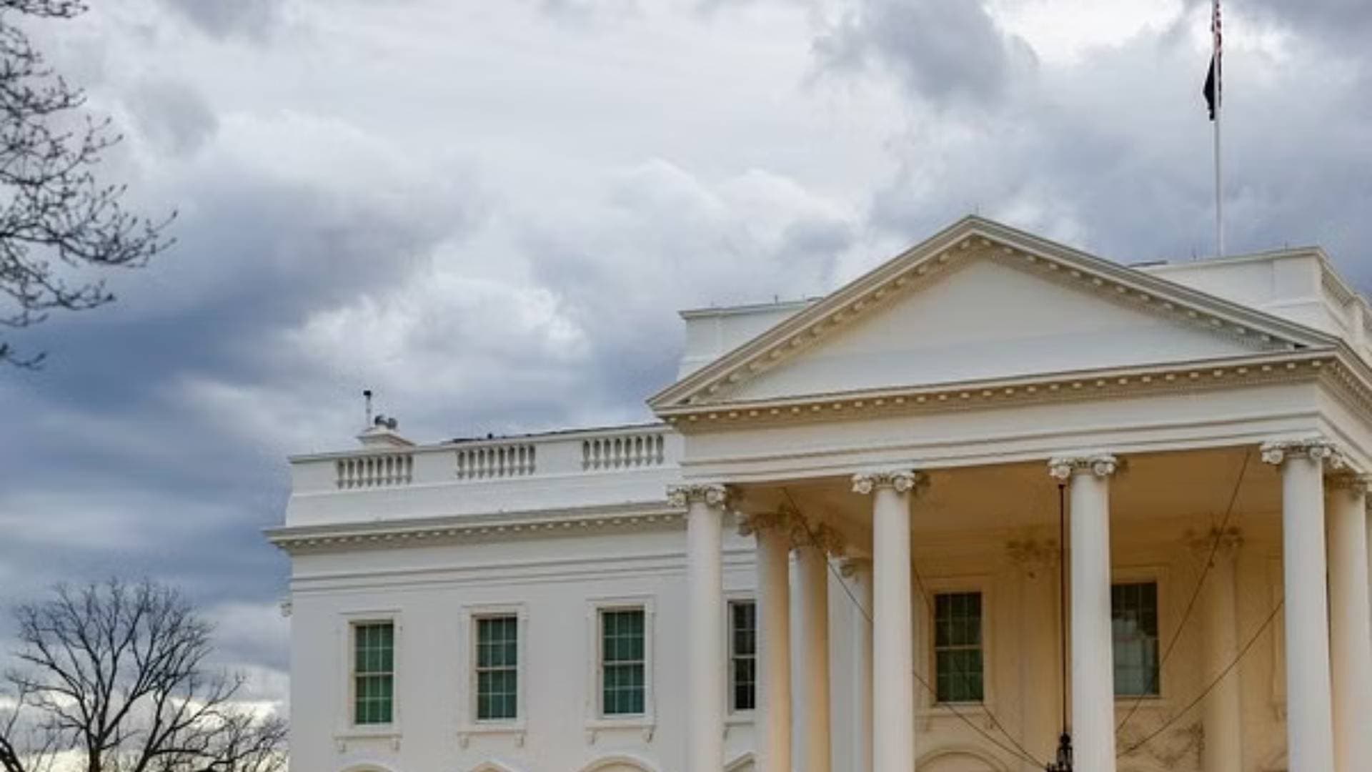 Successful Inaugural Year For Quad STEM Fellows Celebrated At White House