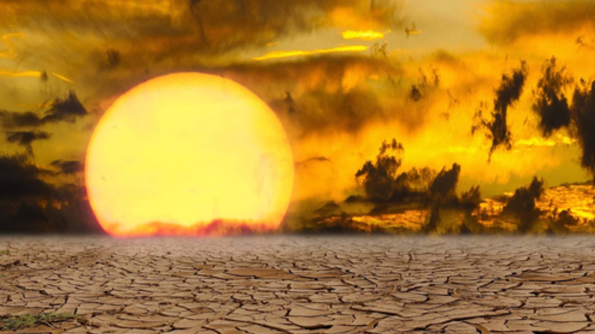 February On Course To Break Many Global Heat Records