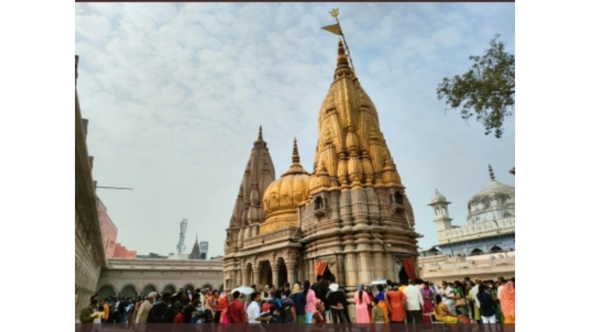 Kashi Vishwanath Temple To Remain Open For 36 Hours On Shivaratri
